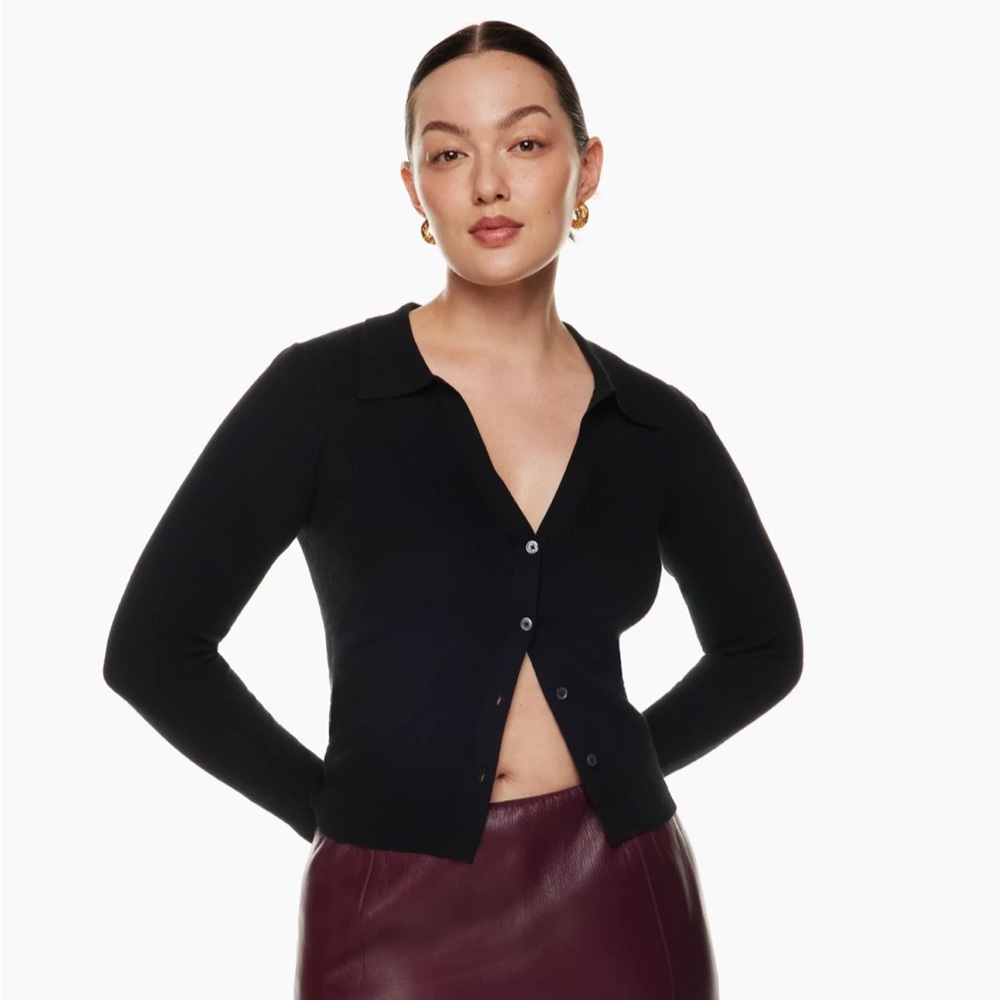 Brand new Aritzia Cove Sweater